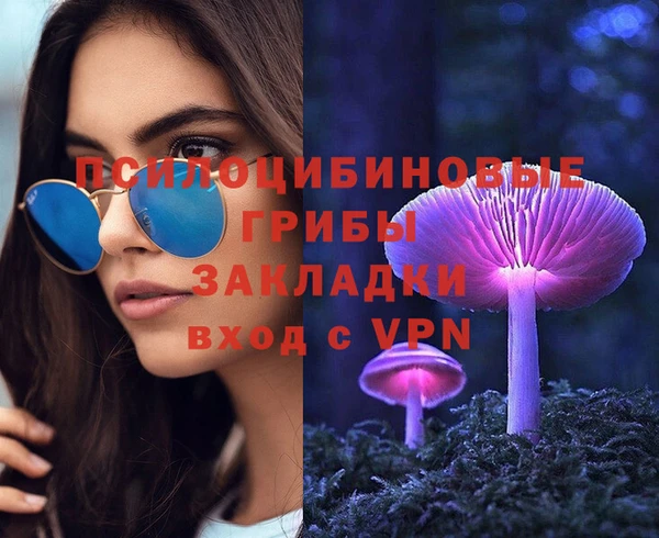 гидра Михайлов